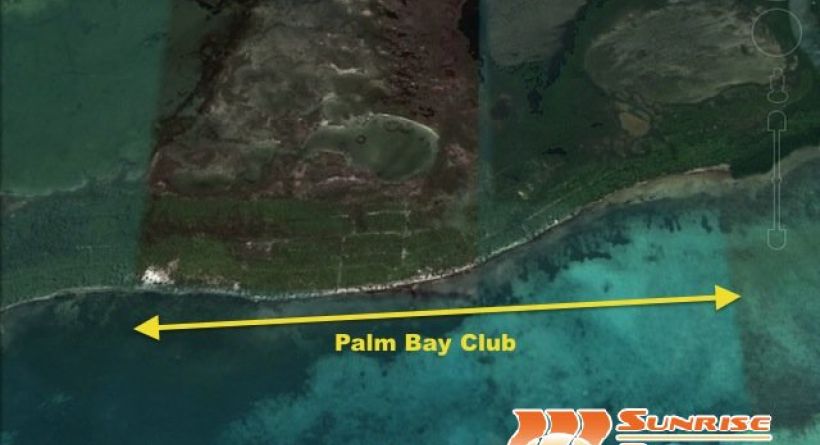 Image from thebelizemls.com